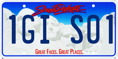 SD license plate 1GIS01