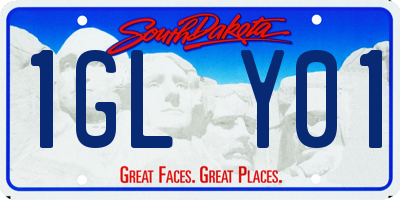 SD license plate 1GLY01