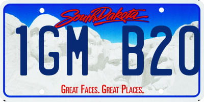 SD license plate 1GMB20