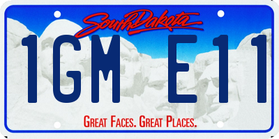 SD license plate 1GME11