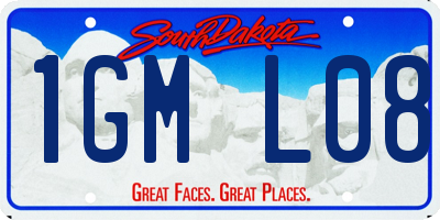 SD license plate 1GML08
