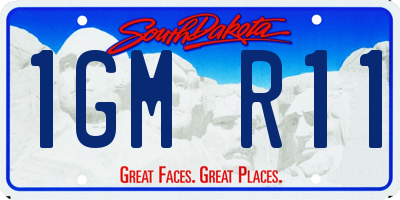 SD license plate 1GMR11