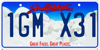 SD license plate 1GMX31