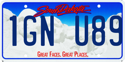 SD license plate 1GNU89