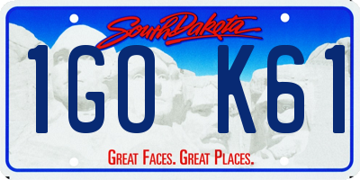 SD license plate 1GOK61