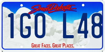SD license plate 1GOL48