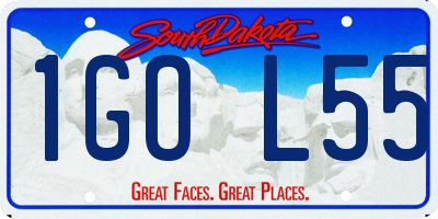 SD license plate 1GOL55
