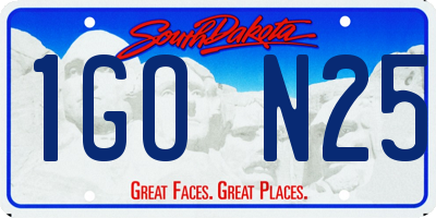 SD license plate 1GON25