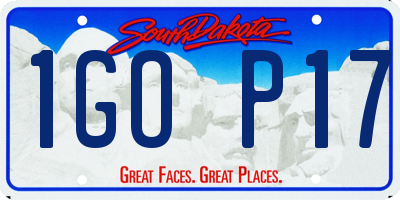 SD license plate 1GOP17