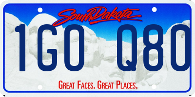SD license plate 1GOQ80