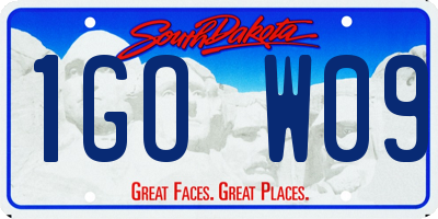 SD license plate 1GOW09