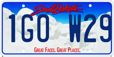 SD license plate 1GOW29