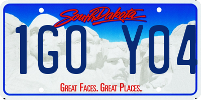 SD license plate 1GOY04