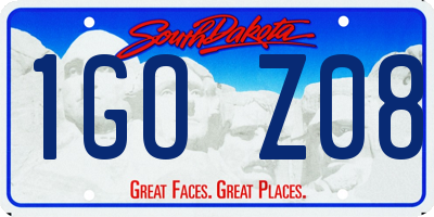 SD license plate 1GOZ08