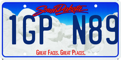 SD license plate 1GPN89