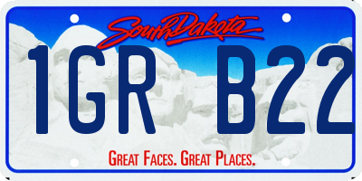 SD license plate 1GRB22