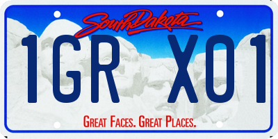 SD license plate 1GRX01