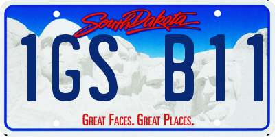 SD license plate 1GSB11