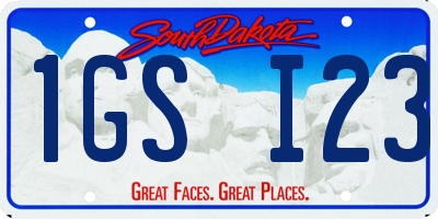 SD license plate 1GSI23