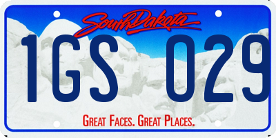 SD license plate 1GSO29