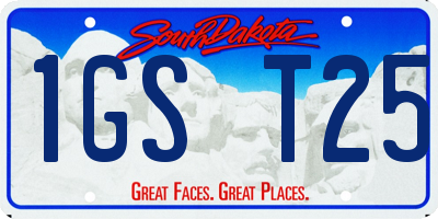 SD license plate 1GST25