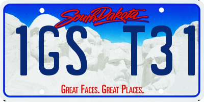 SD license plate 1GST31