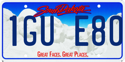 SD license plate 1GUE80
