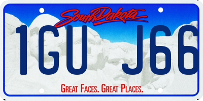 SD license plate 1GUJ66