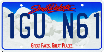 SD license plate 1GUN61