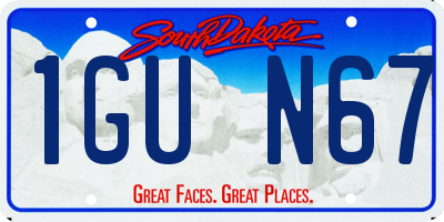 SD license plate 1GUN67