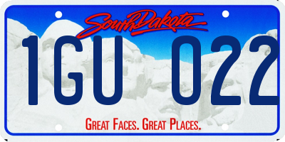 SD license plate 1GUO22