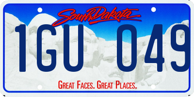 SD license plate 1GUO49