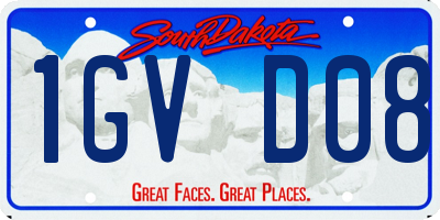 SD license plate 1GVD08