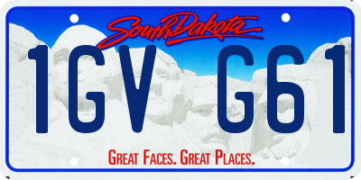 SD license plate 1GVG61