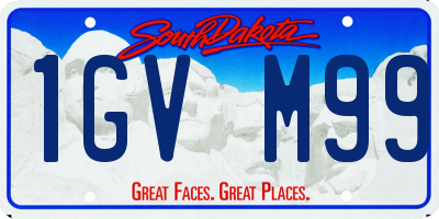 SD license plate 1GVM99