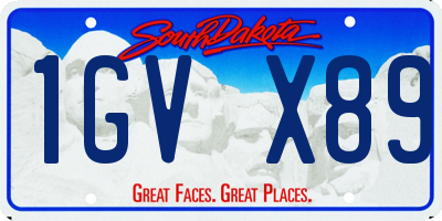 SD license plate 1GVX89
