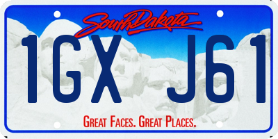 SD license plate 1GXJ61