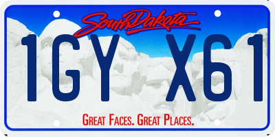 SD license plate 1GYX61
