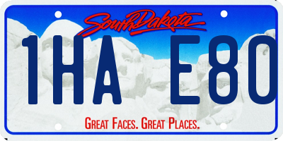 SD license plate 1HAE80