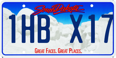 SD license plate 1HBX17