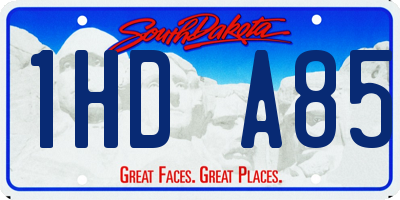 SD license plate 1HDA85