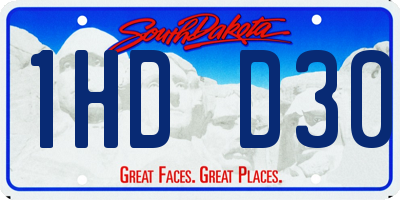 SD license plate 1HDD30