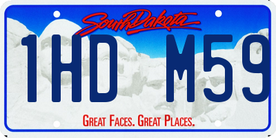 SD license plate 1HDM59