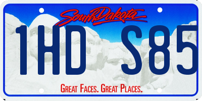 SD license plate 1HDS85