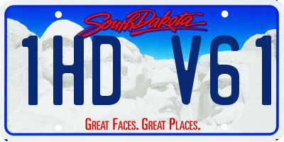SD license plate 1HDV61