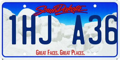 SD license plate 1HJA36