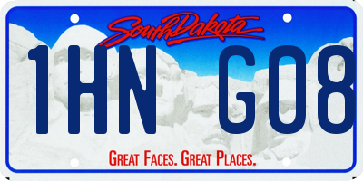 SD license plate 1HNG08