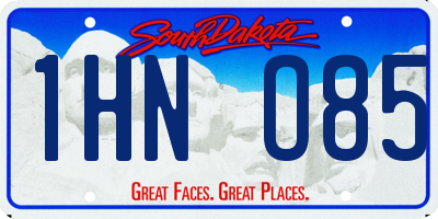 SD license plate 1HNO85