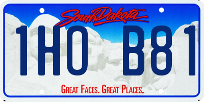 SD license plate 1HOB81