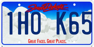 SD license plate 1HOK65